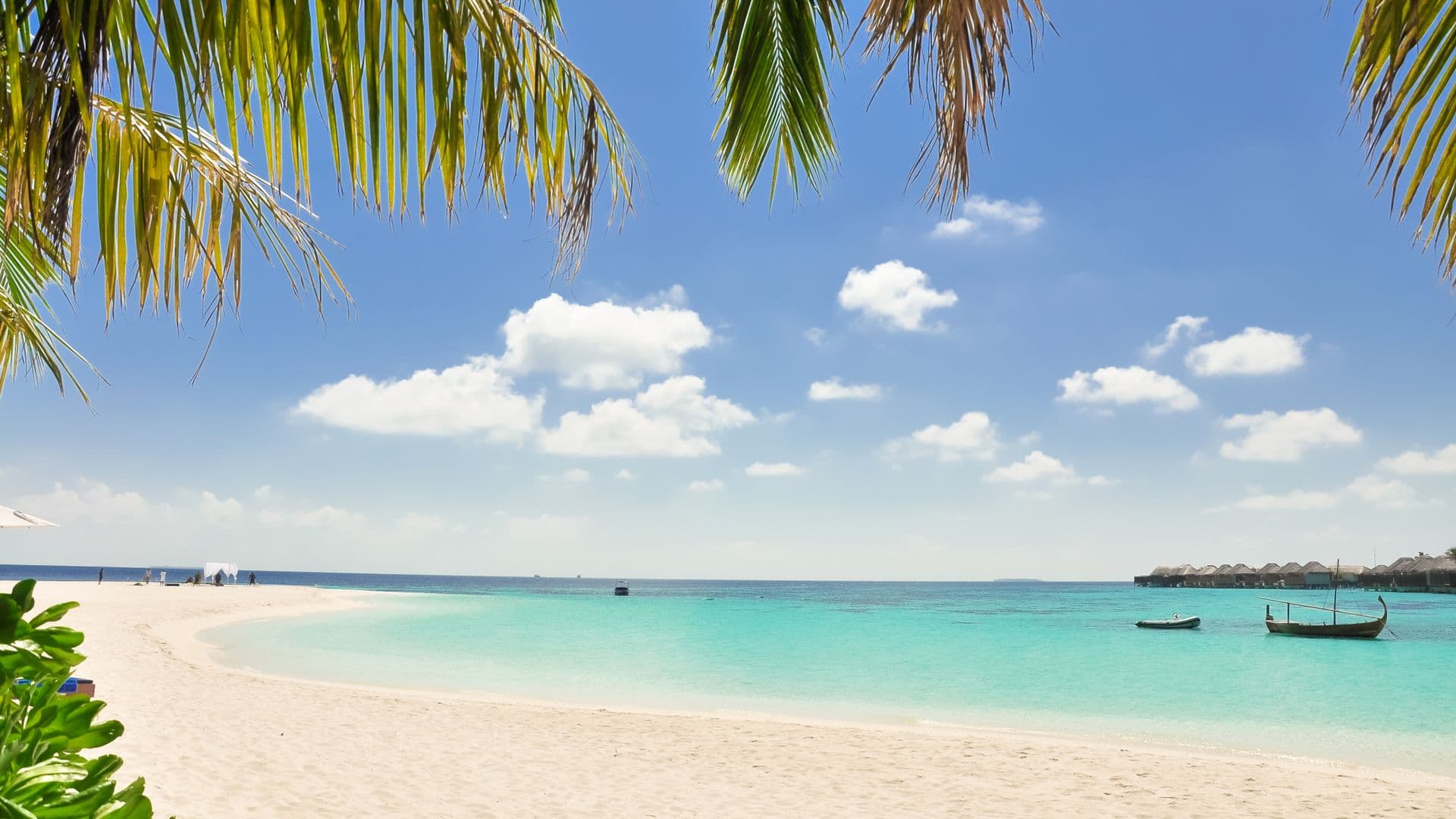 Zanzibar coast — turquoise waters, dhow boats and palm-fringed beach
