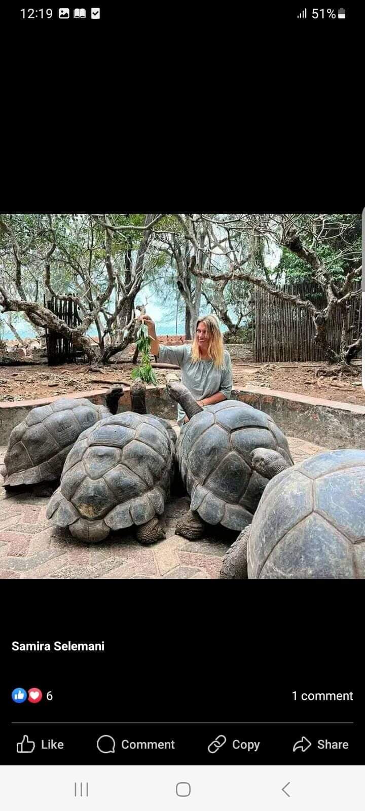 Prison Island