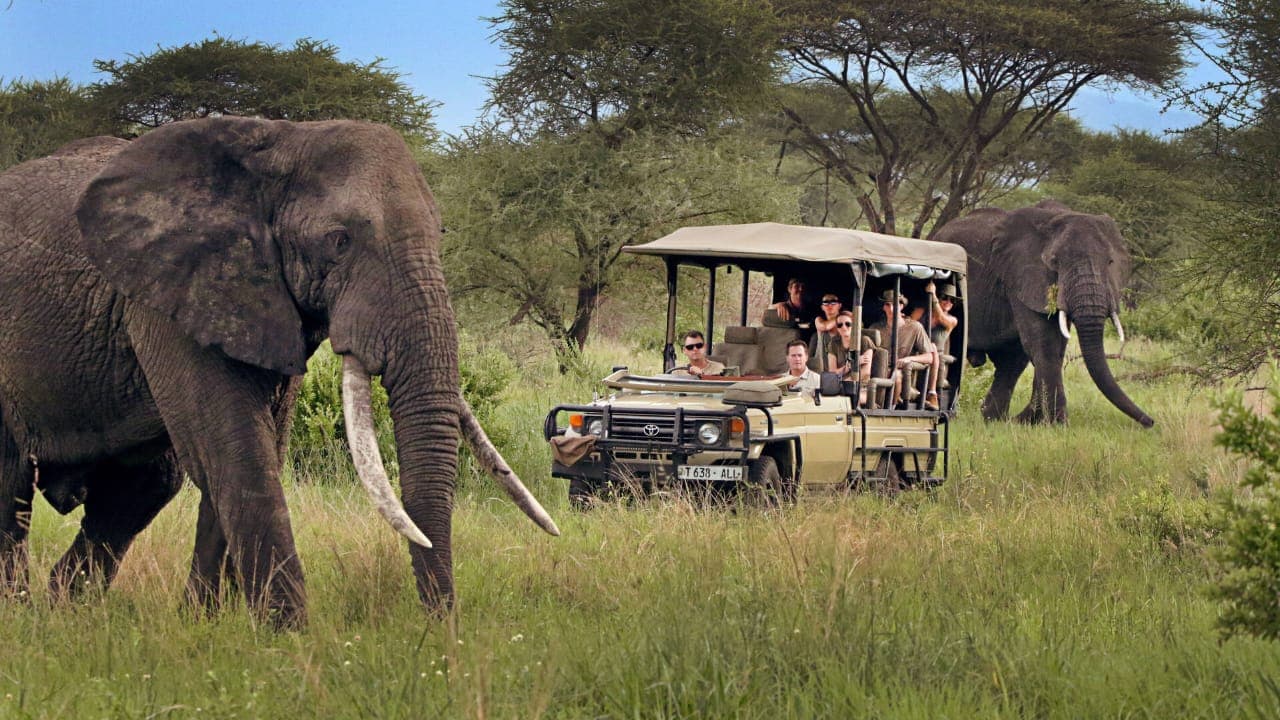 Best Time to Visit Tanzania