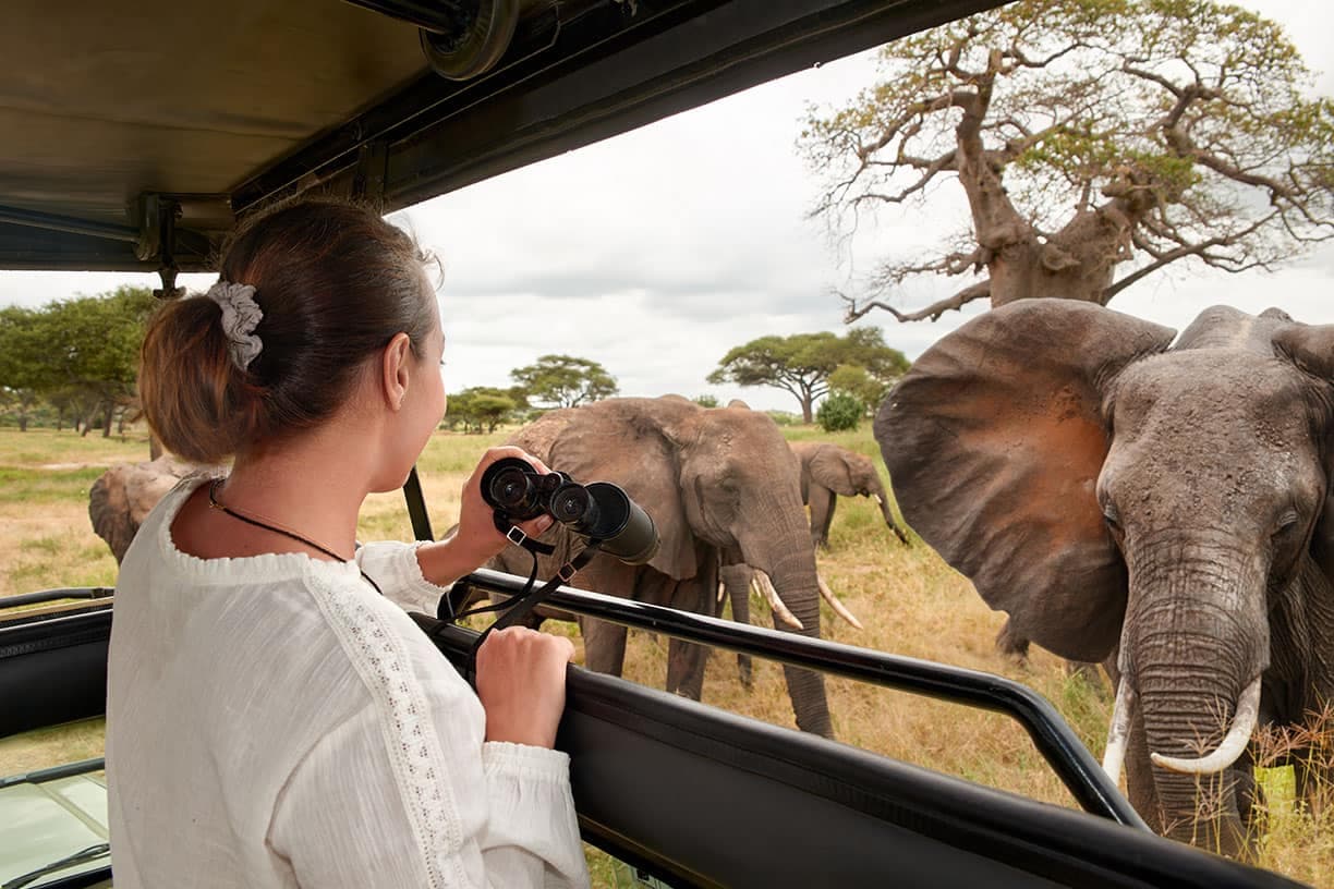 Safari Tanzania — Mikumi