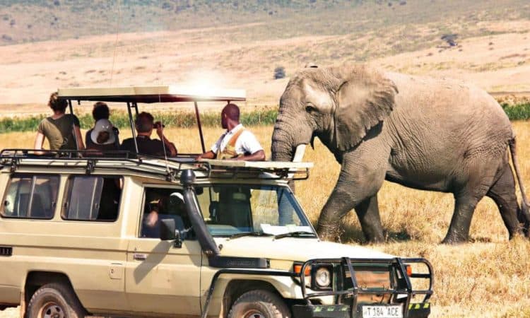 Safari Tanzania — Mikumi